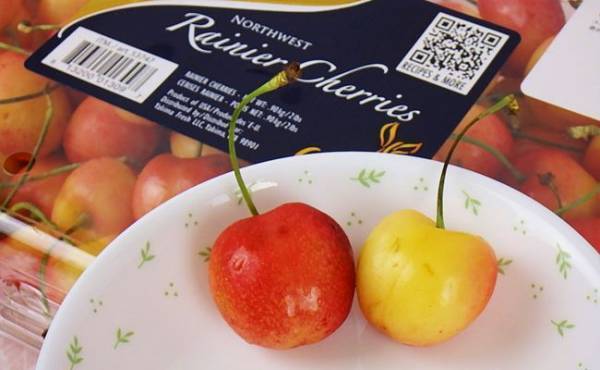 期間限定の超高級フルーツがこの値段で？！大容量で安く買えるテク♡