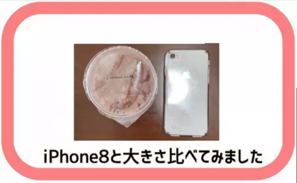 【業務スーパー】1個124円でこの高級感！イタリア直輸入激旨スイーツ