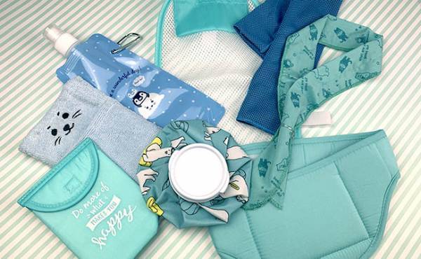 【100均】このアイデアすごっ！キャンドゥの暑さ対策グッズが親子で使える件