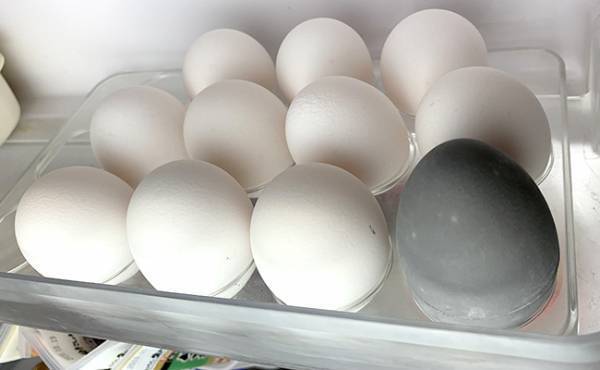 【100均】何これ便利！放置するだけで効果がすごい神アイテムが爆売れ中