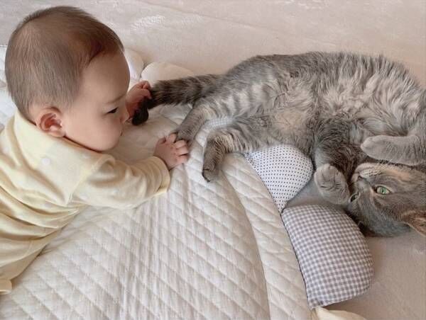 生後7カ月の赤ちゃん・ポンちゃんと猫のロン（5歳）・ギン（4歳）