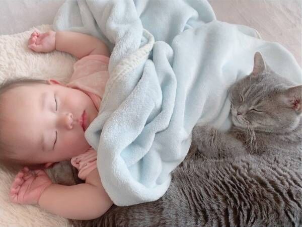 生後7カ月の赤ちゃん・ポンちゃんと猫のロン（5歳）・ギン（4歳）