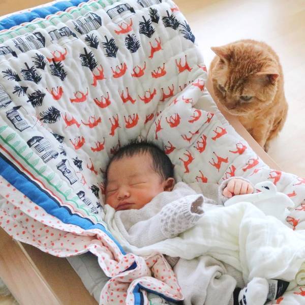 身長ほぼ同じやん♡ロンドンで暮らす赤ちゃんと猫たちが癒し効果絶大！