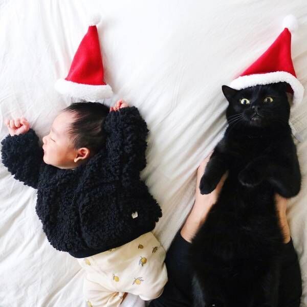 生後9カ月の赤ちゃん・凪くんと猫のギネス（4歳）・ピムス（3歳）