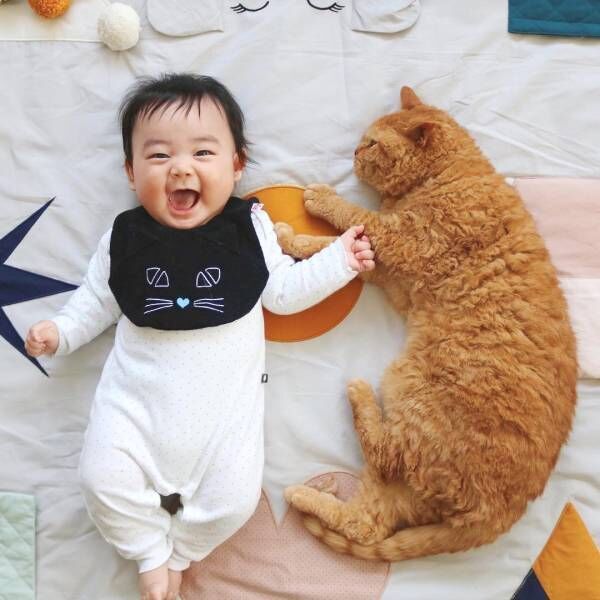 生後9カ月の赤ちゃん・凪くんと猫のギネス（4歳）・ピムス（3歳）