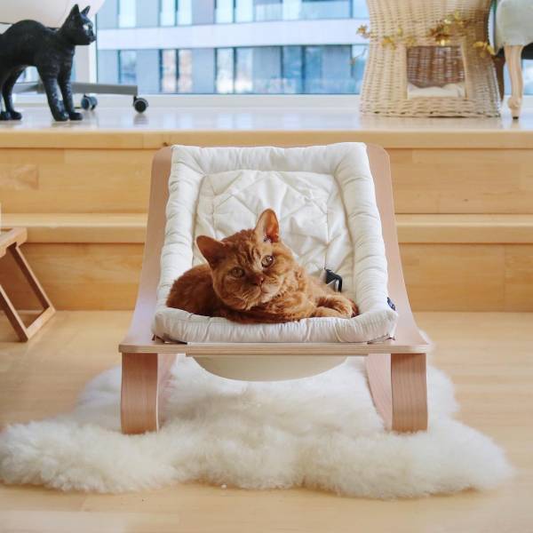 身長ほぼ同じやん♡ロンドンで暮らす赤ちゃんと猫たちが癒し効果絶大！