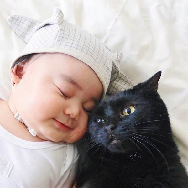 身長ほぼ同じやん♡ロンドンで暮らす赤ちゃんと猫たちが癒し効果絶大！