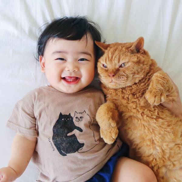 身長ほぼ同じやん♡ロンドンで暮らす赤ちゃんと猫たちが癒し効果絶大！