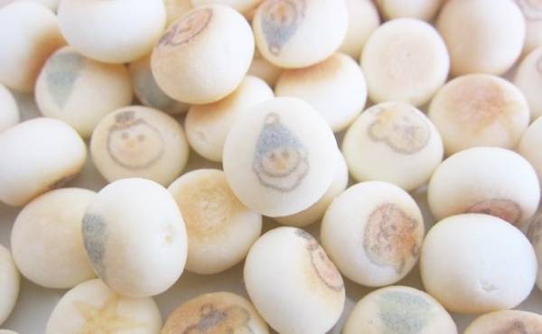 【カルディ】かわいくて癒される♡即買い必至のクリスマス限定お菓子5選