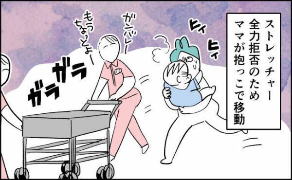 いざ、手術室へ…！ママから離れないように全力でしがみつくんぎぃちゃん