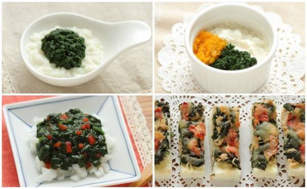 【旬野菜の離乳食】鉄分補給にも◎！栄養満点ほうれん草のおいしいレシピ