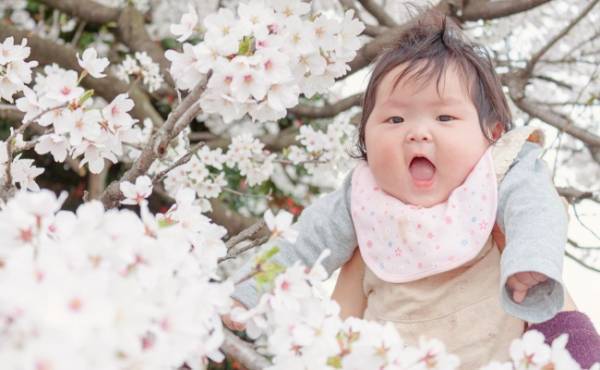 華やか「フラワーネーム」が人気！トレンドの名前は？＜赤ちゃんの名づけ＞