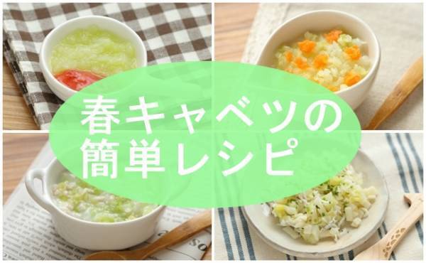 超おいしい！旬の春キャベツでパパッとレシピ【カンタン離乳食】