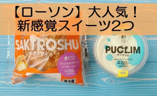 レベル高すぎ【ローソン】とろける新感覚スイーツ、おいしいのはどっち？