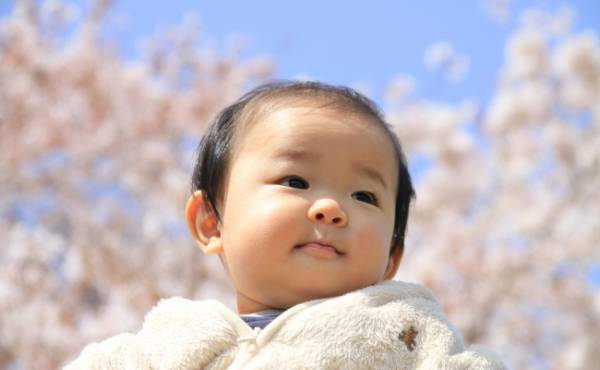 「サクラネーム」が増加！人気の名前は？3月生まれ女の子の名前TOP10