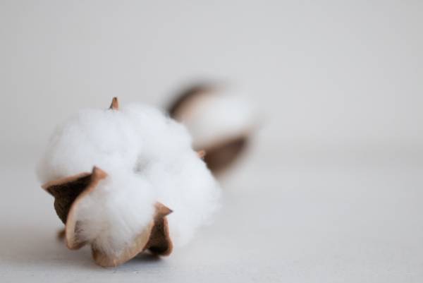 ナチュラル派が愛する『コットン』ナプキン！何がいいの？徹底比較！