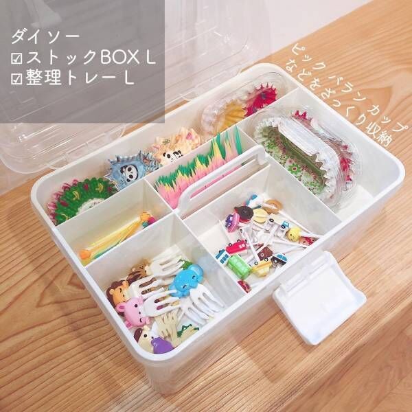 記憶に残る 明快 実質的に 整理 トレー ダイソー エール 抵当 滝