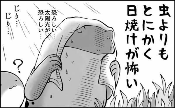 虫シーズン到来！！虫好きキッズと母の宿命……！