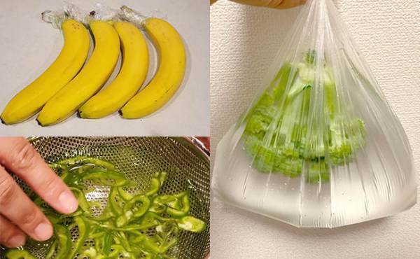 1.6万RT、5万いいね超え！カサに虫が！？ブロッコリーの汚れを落とす方法が話題