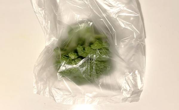 1.6万RT、5万いいね超え！カサに虫が！？ブロッコリーの汚れを落とす方法が話題