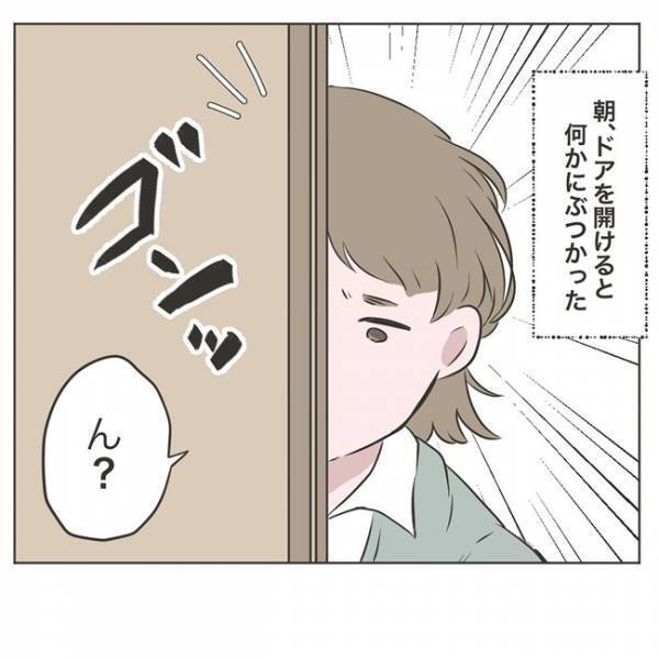 義母の目的が分からない。ドアの前に置かれていたものとは… #物が無くなる家 27