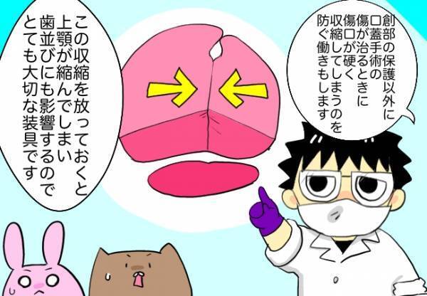 保護床が変わり、新たな問題が発生！今まで以上に気を付けるべきこととは