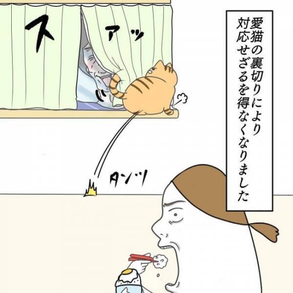 義母「公園行かない？」今から！？ 唯一のひとり時間だったのに… #お義母さんといっしょ 17