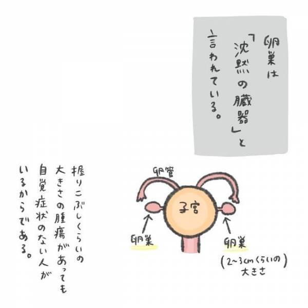 「チョコ…って何？」え、私がまさか病気！？／卵巣のう腫が産後消えた