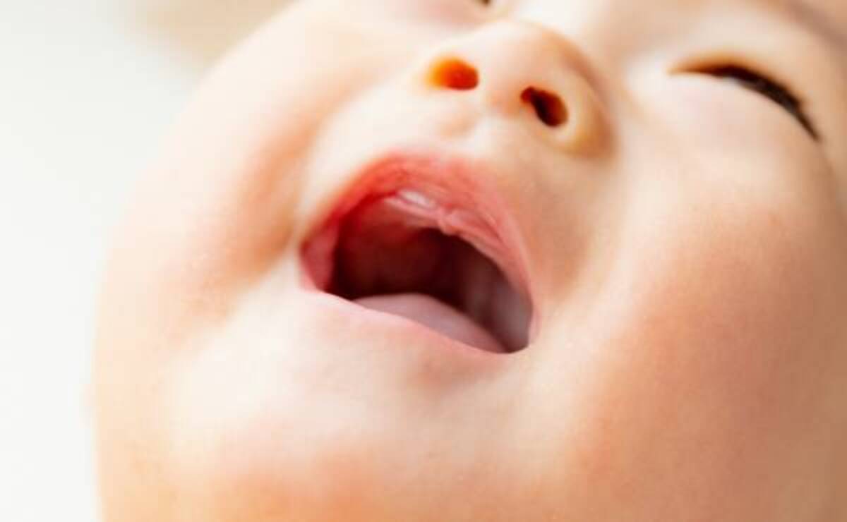 1歳半健診で 生えてこない と言われた息子の歯 諦めていたのに家族でびっくりな結果に 21年12月5日 ウーマンエキサイト 1 2
