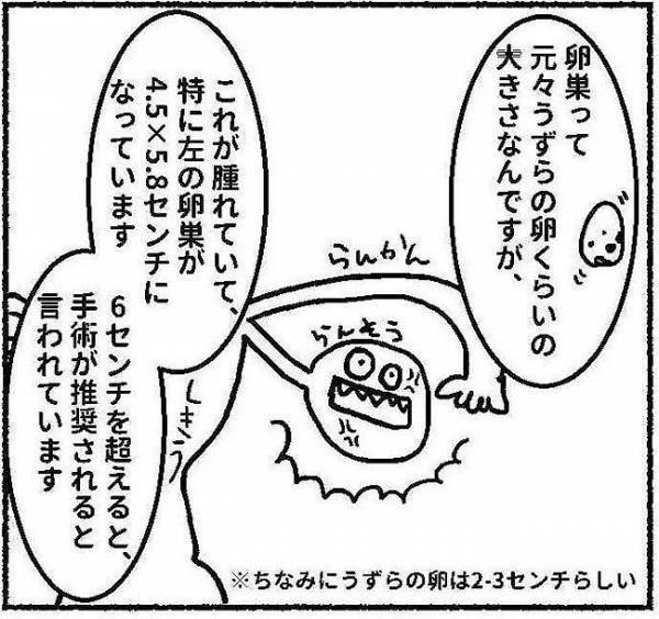 卵巣の腫れ、原因はチョコレート嚢胞だった！手術は必要……！？ #子宮内膜症日記 8