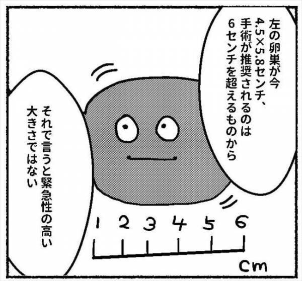 薬物療法か手術か。いろいろ考えて出した答えは…＃子宮内膜症日記 12