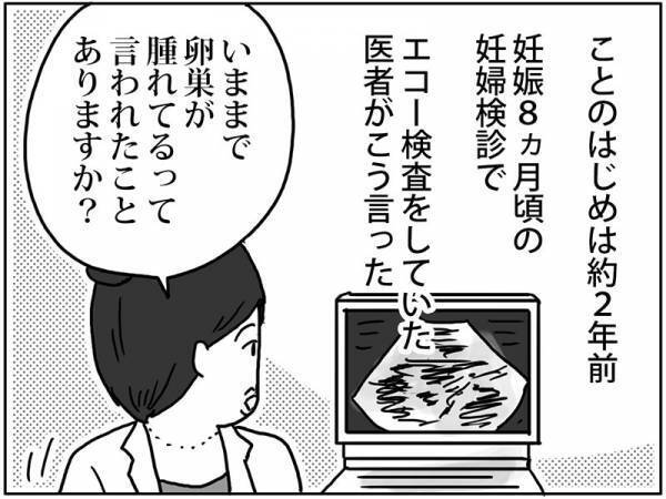 「なんじゃこりゃああ！！」産後1カ月健診で謎の影…！？ #卵巣ボーダーライン 1