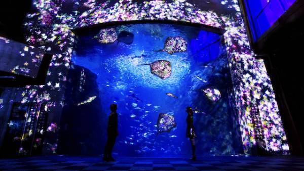 暑い日はひんやり涼しい水族館へ赤ちゃんと一緒にでお出かけ！