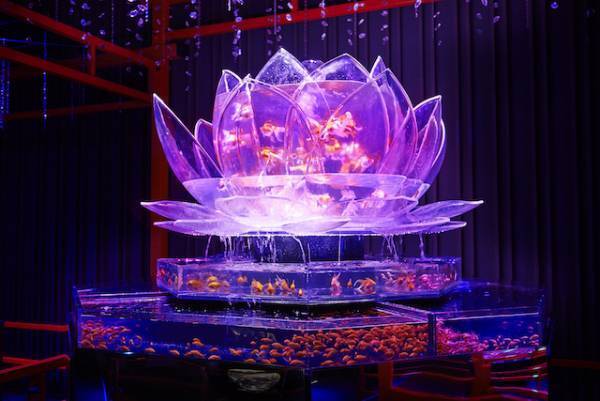 暑い日はひんやり涼しい水族館へ赤ちゃんと一緒にでお出かけ！