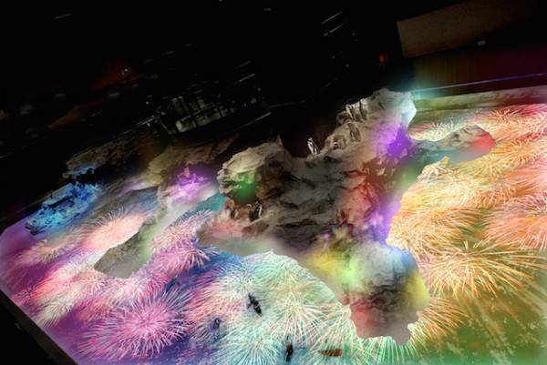 暑い日はひんやり涼しい水族館へ赤ちゃんと一緒にでお出かけ！