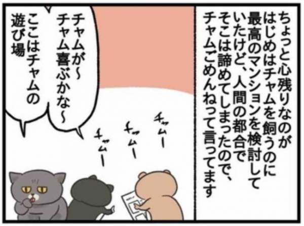 「戸建てとマンション、どっち？」ついに家購入！結論は？#51