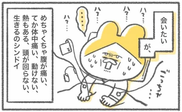 キヨの出産記録