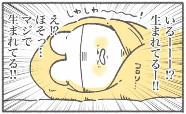 キヨの出産記録