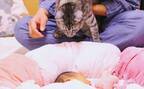 新生児と対面した猫が、ストレスで嘔吐！？初めての育児に猫の看病が重なり限界に…