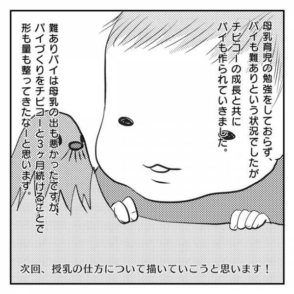 硬かったモグラが…！難ありパイがふかふかパイになるまで パイ図解編 2