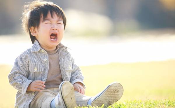 物を投げ、絶叫する息子のイヤイヤ期！乗り越えるために編み出した対処法