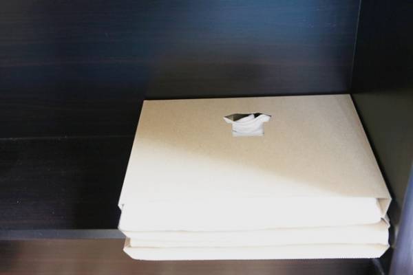 【ダイソー】バイヤーおすすめ！どこいった？雪崩…がなくなる収納の神アイテム