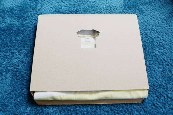 【ダイソー】バイヤーおすすめ！どこいった？雪崩…がなくなる収納の神アイテム