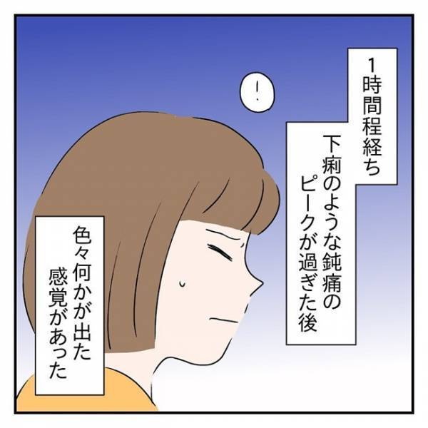 「出たかもしれない」長い腹痛のあと「何か出た感覚」が。まさかこの中に？ #流産のはなし 12