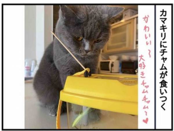 「ママなんだこれぇ！」目を輝かせる息子。指を差した先にいたのは…！？