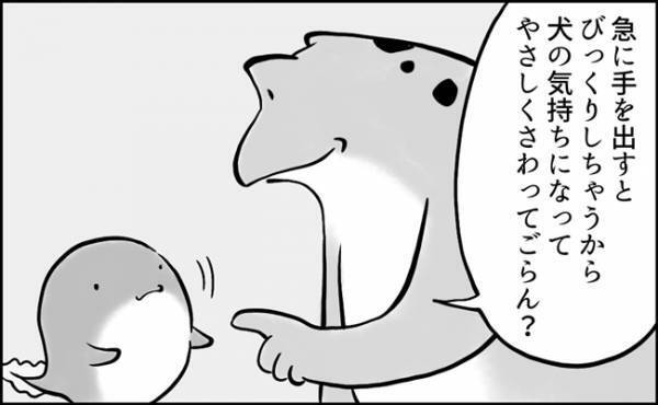「犬の気持ちになってね！」アドバイス通りにはいかない？！犬好き男子の寄り添い方とは？