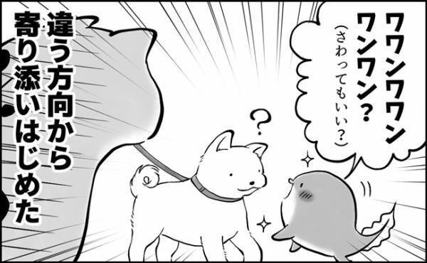 「犬の気持ちになってね！」アドバイス通りにはいかない？！犬好き男子の寄り添い方とは？