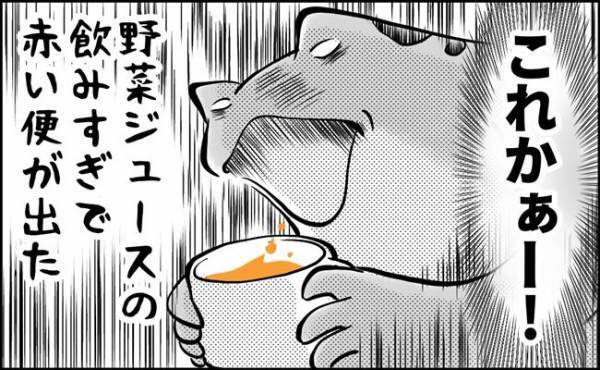 「どうしよう…」便が変色！もしかして病気！？赤くなった原因は…