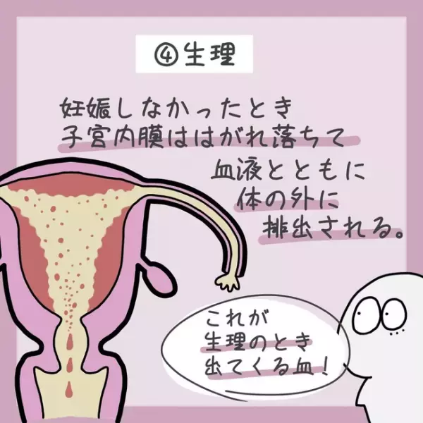＜生理のキホン＞「なんで血が出るの？」生理中、子宮のなかで起こっていることとは…！？