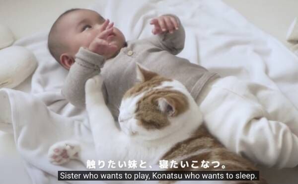 赤ちゃんと猫７